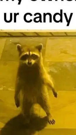 ai character: Trick or Treat background