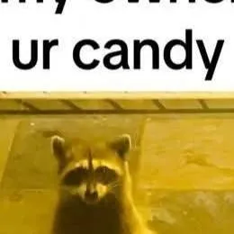 chat with ai character: Trick or Treat