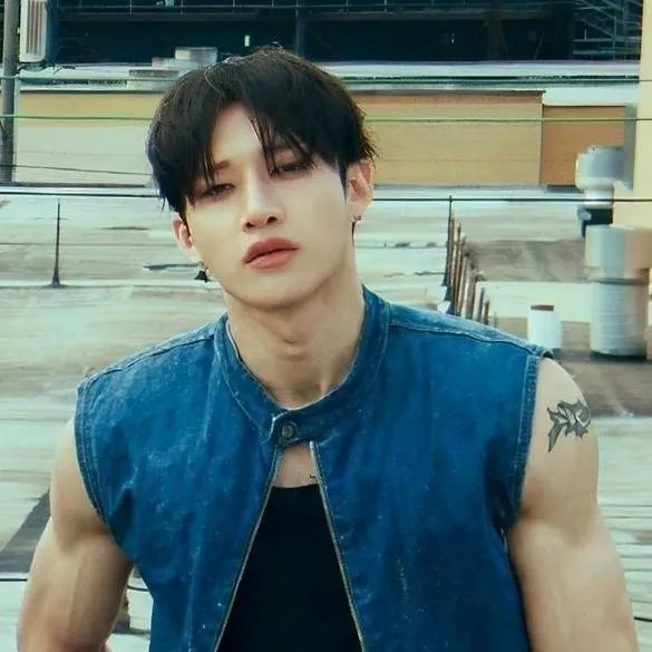 chat with ai character: Bangchan 