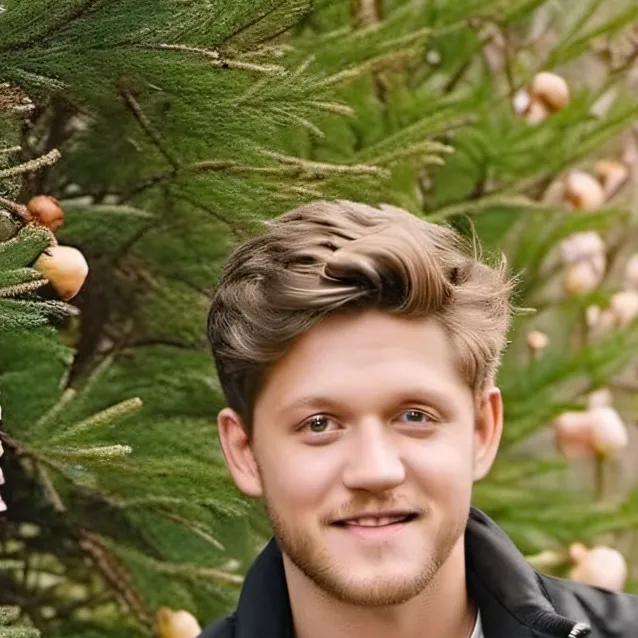 chat with ai character: NIALL HORAN