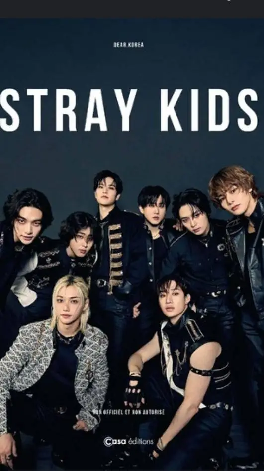 ai character: Stray Kids background