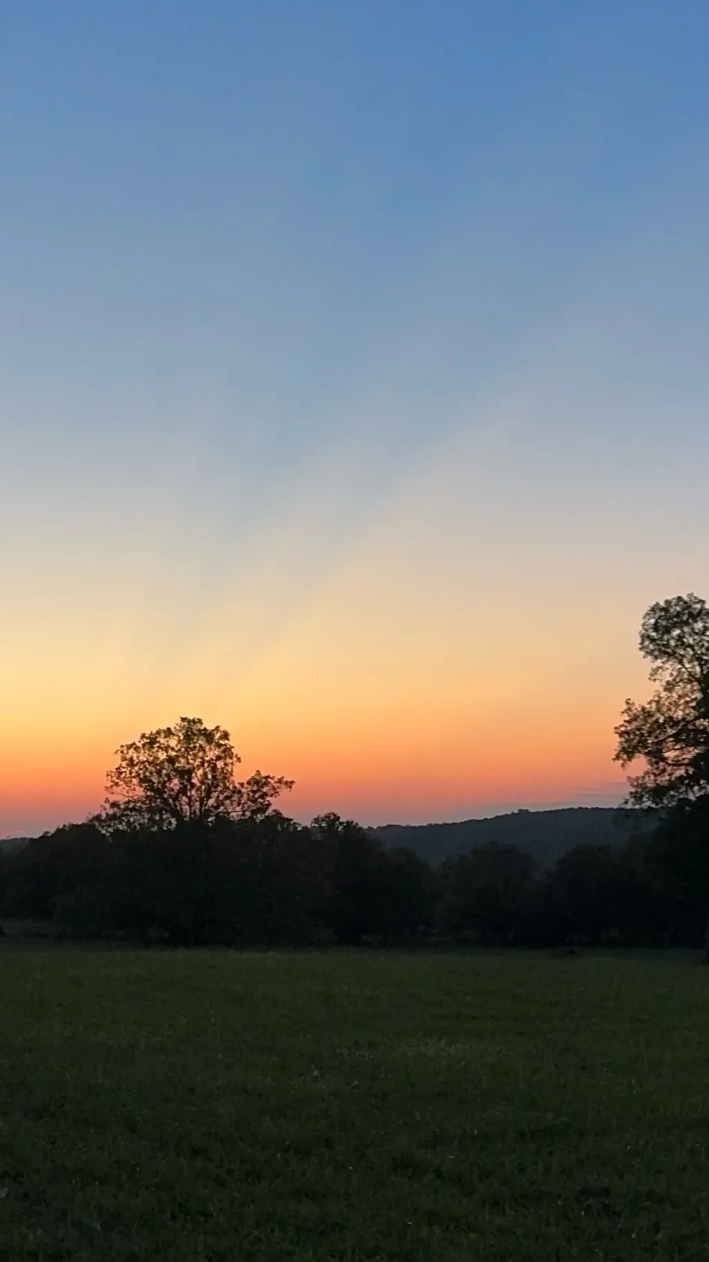 ai character: Sky is blue background