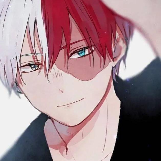 chat with ai character: Todoroki