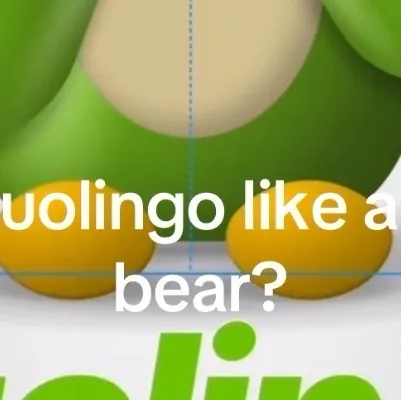 chat with ai character: Duolingo 509 lago