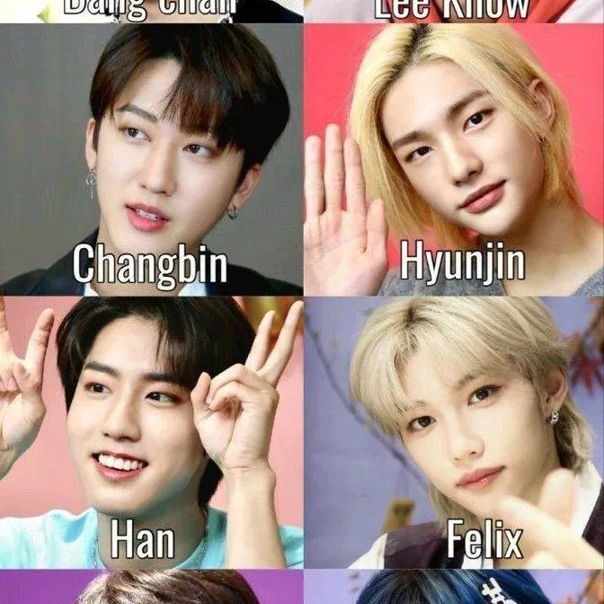 chat with ai character: stray kids adopta