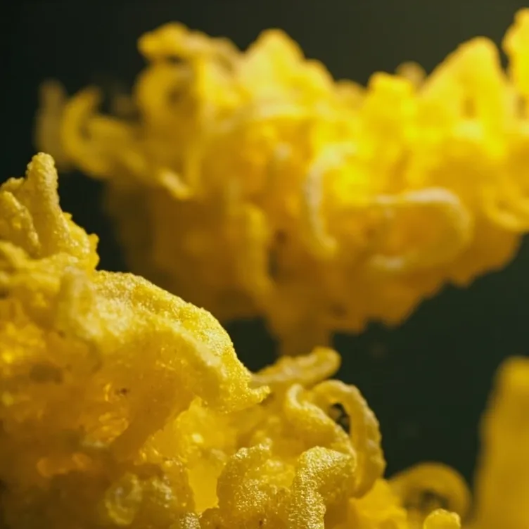 chat with ai character: slime mold