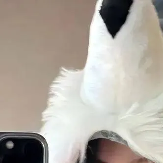 chat with ai character: Colet