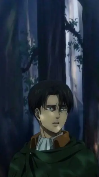 ai character: Levi Ackerman background