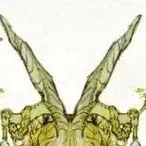 chat with ai character: il canpanaro 