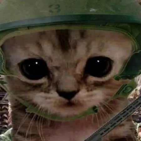 chat with ai character: Gatinho Militar 🇵🇹
