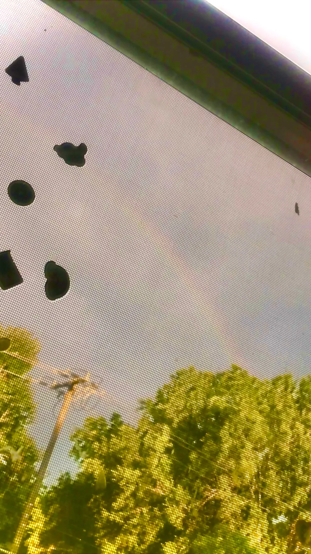 ai character: :( background