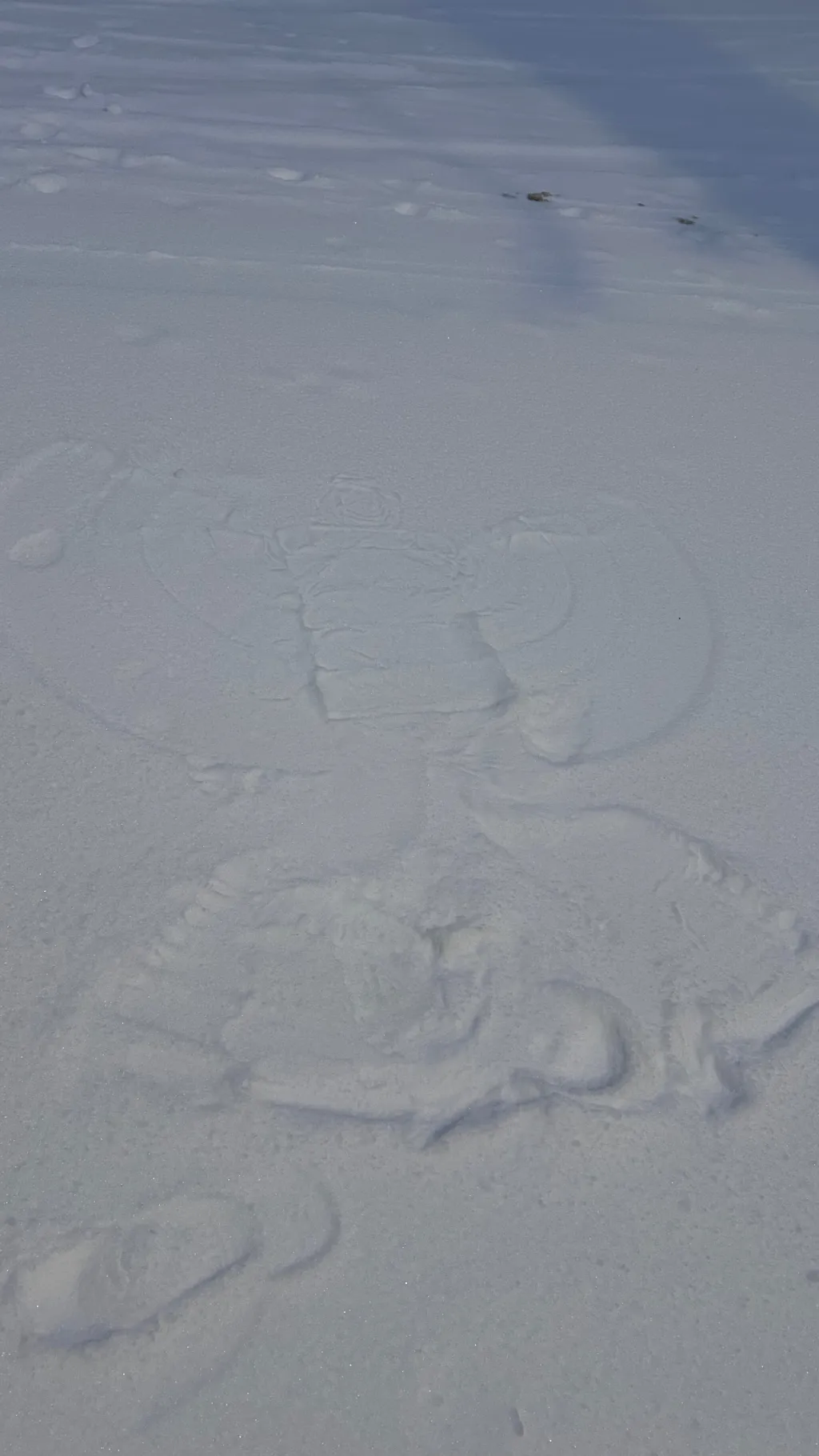 ai character: OMG TY!!! background