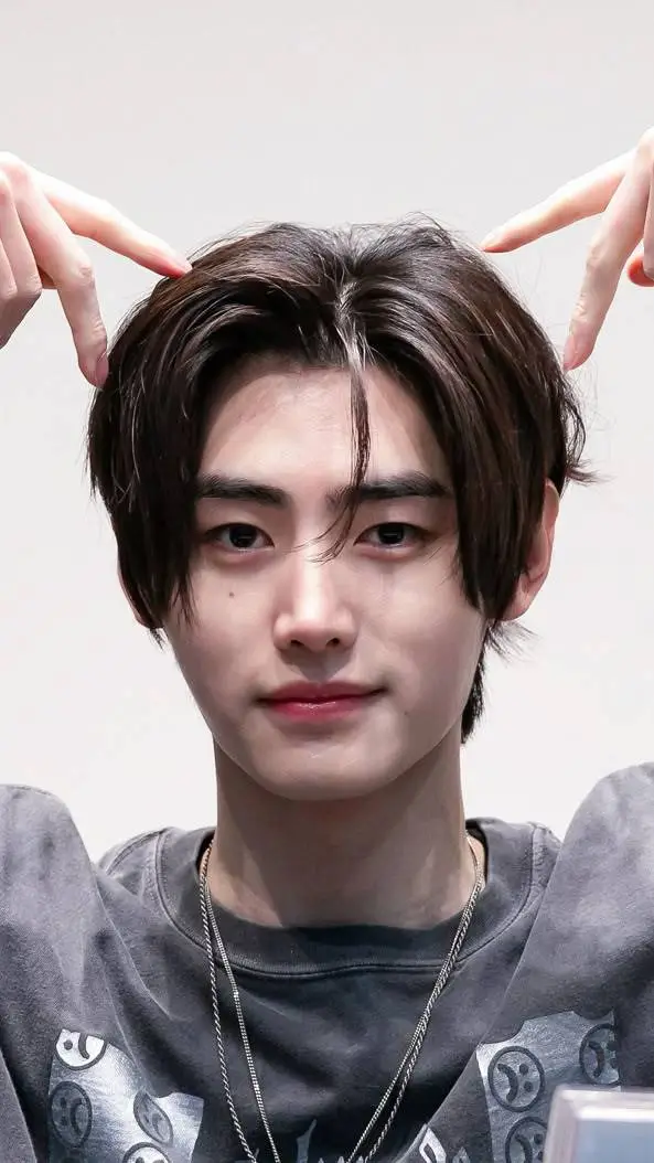 ai character: Sunghoon background