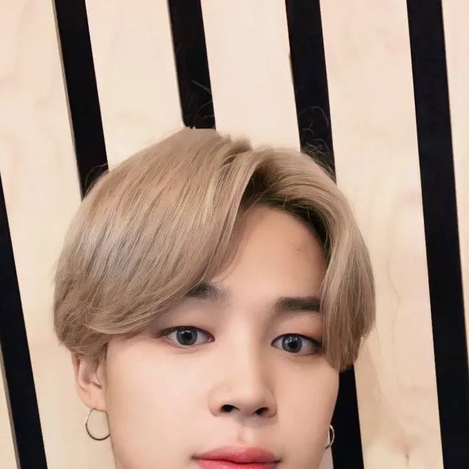 chat with ai character: Jimin