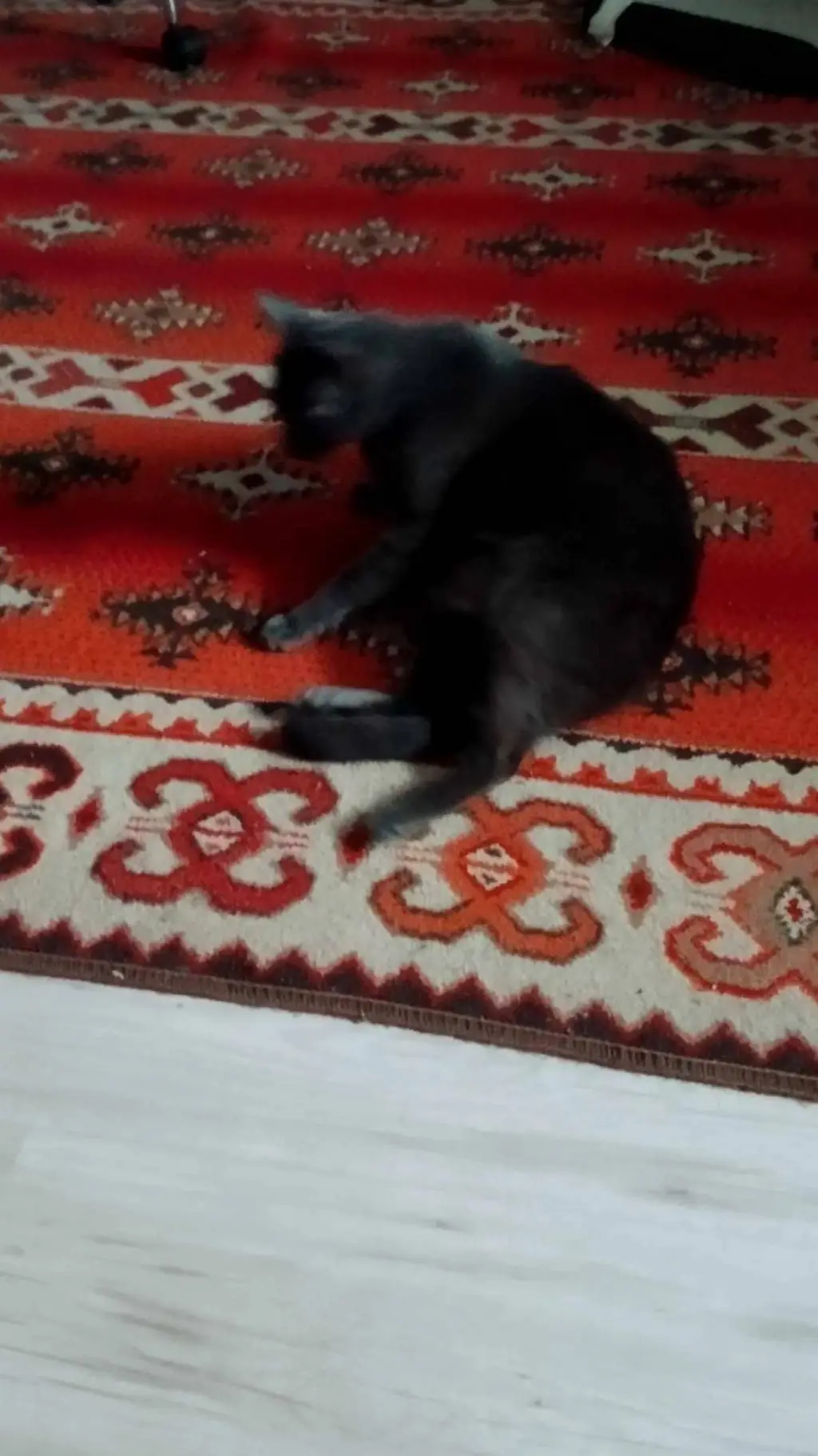 ai character: picur ❤ background