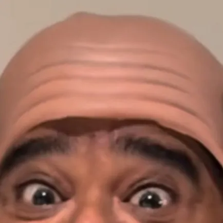 chat with ai character: Armadillo 