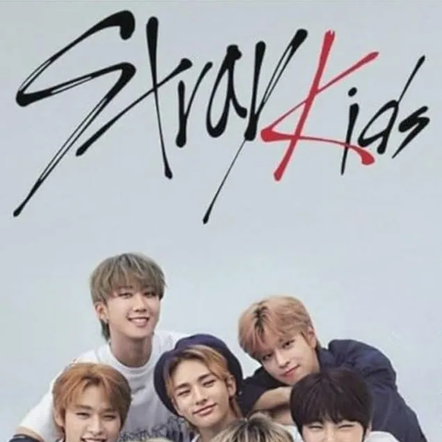 chat with ai character: 《Straykids!》