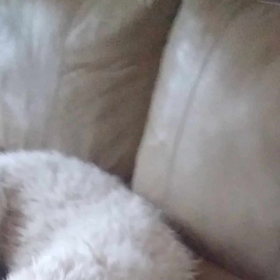 chat with ai character: sabrina carpenter 