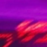 chat with ai character: Marie y Max