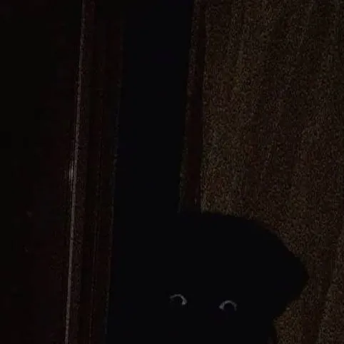 chat with ai character: Bubalo