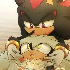 chat with ai character: silver x Shadow 