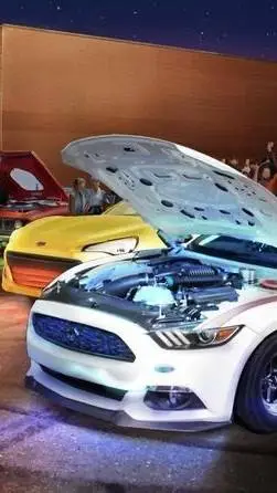 ai character: 🇦🇺 background