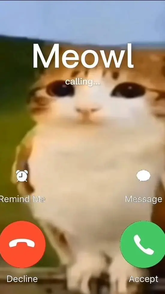 ai character: Meowl background