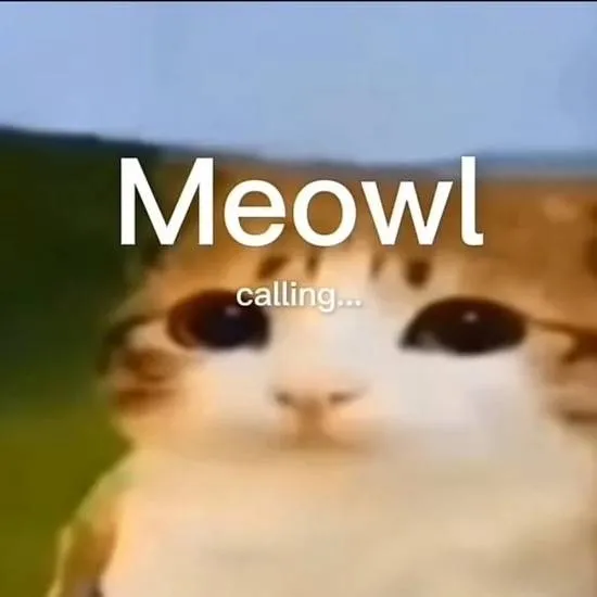 chat with ai character: Meowl
