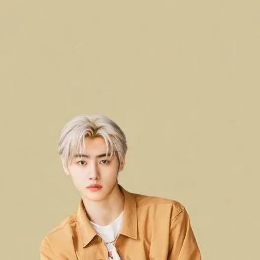 chat with ai character: sunghoon 