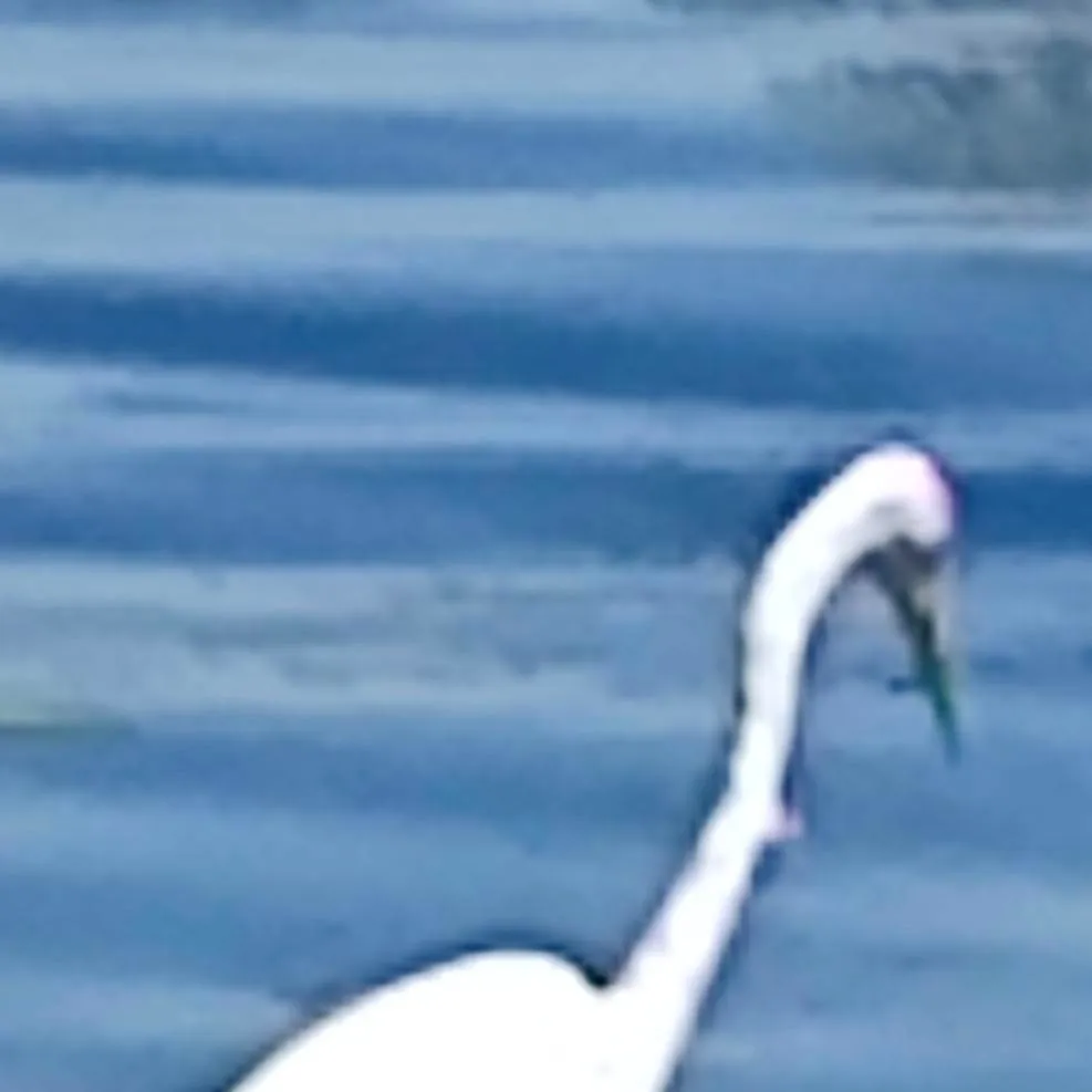 chat with ai character: Vlad4$$