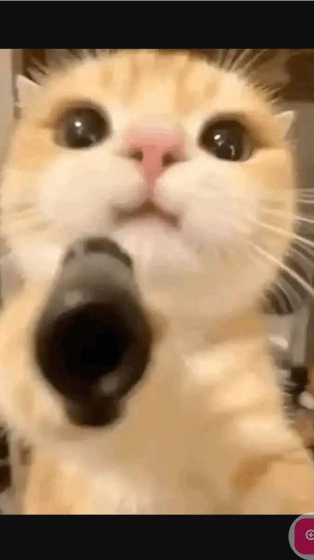 ai character: Hamburg:3 background