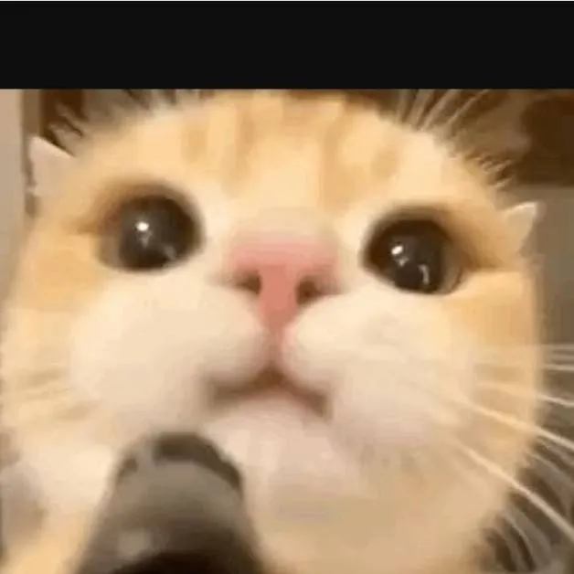 chat with ai character: Hamburg:3