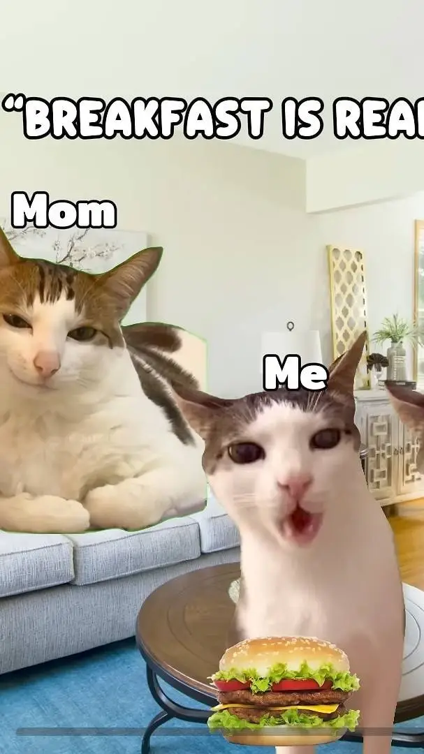 ai character: cat memes roadtrip background