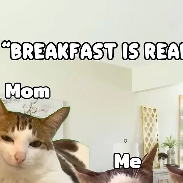 chat with ai character: cat memes roadtrip