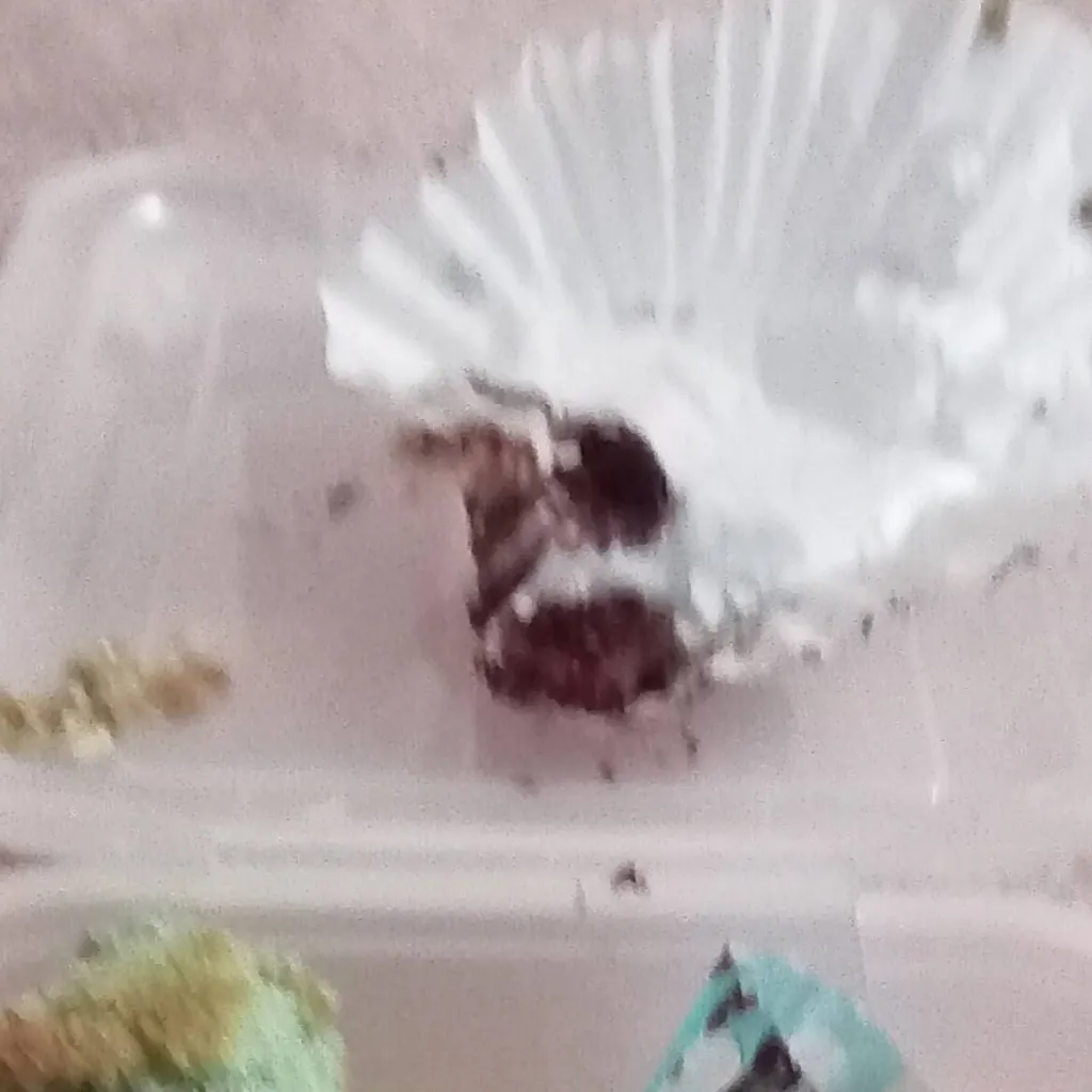 chat with ai character: Reg x jstn x larx