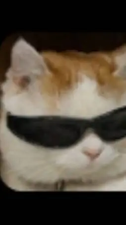 ai character: marco xd background