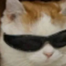 chat with ai character: marco xd