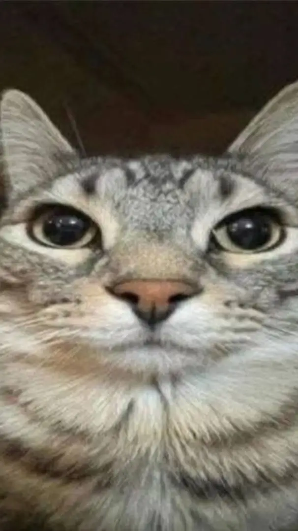 ai character: Зазу background