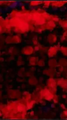 ai character: ddlc yandere background