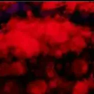 chat with ai character: ddlc yandere