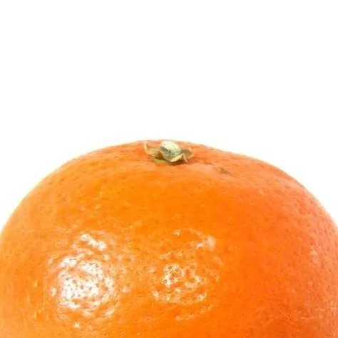 chat with ai character: tangerine 