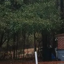 chat with ai character: Mom