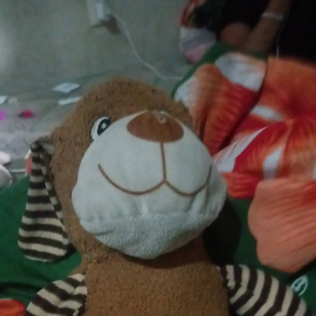 chat with ai character: rayas