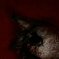 chat with ai character: {~SPRUNKI ANALOG ~