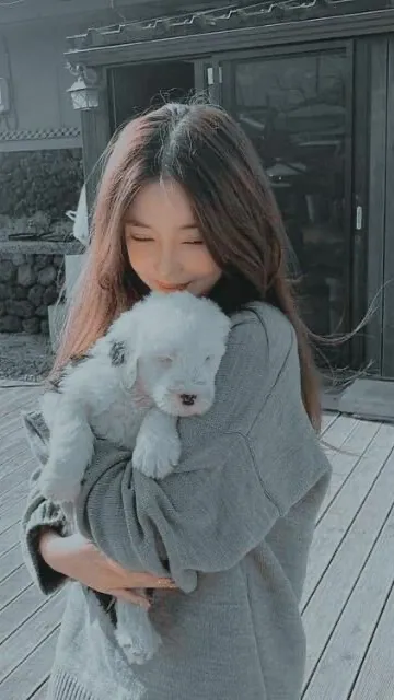 ai character: MHA Soulmates ♡ background