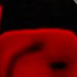 chat with ai character: c00lkid