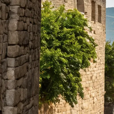 chat with ai character: Skirt