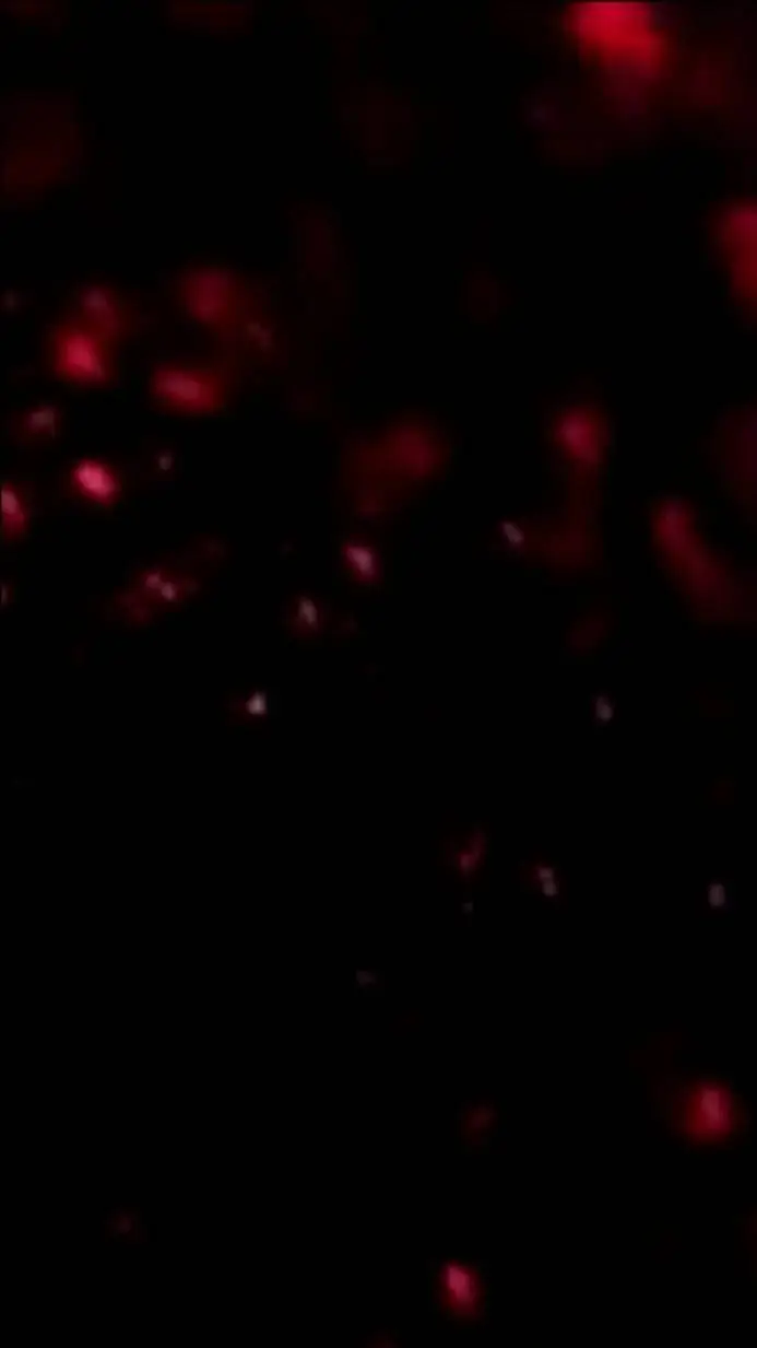 ai character: sing or die! background