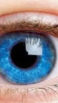 ai character: Eye school background