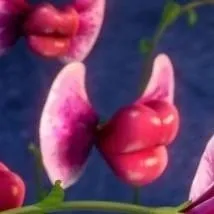 chat with ai character: kissing flowers.